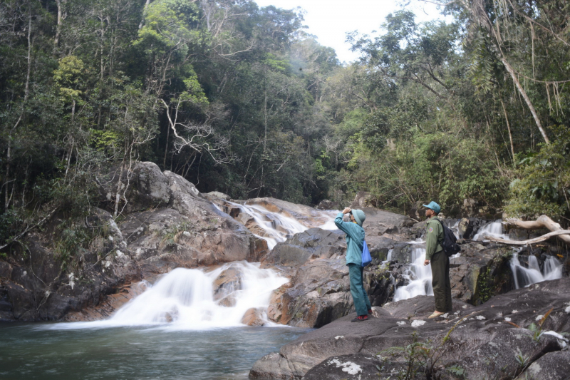 Khẩn trương bảo vệ tiềm năng voọc chà vá chân xám ở phía Tây Bắc Phú Yên -0