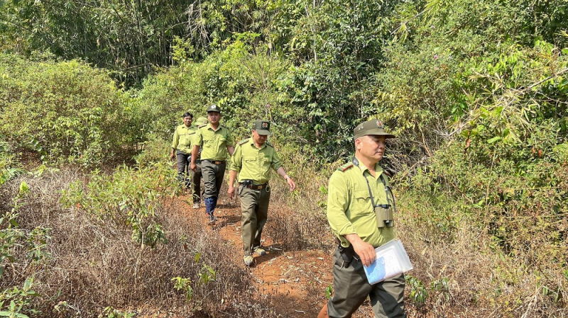 Giữ