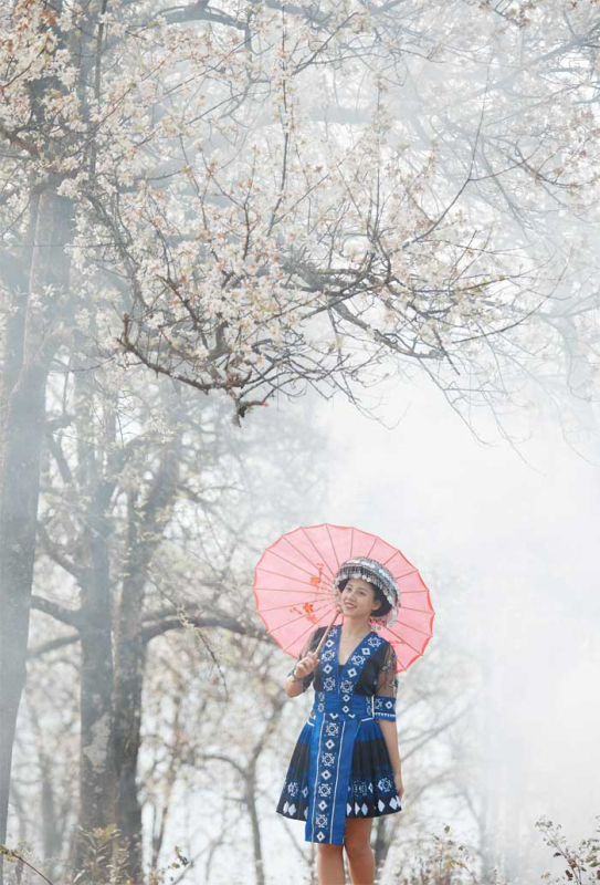 “Tuyết trắng” tháng 3 -1