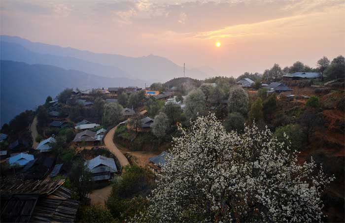 “Tuyết trắng” tháng 3 -2