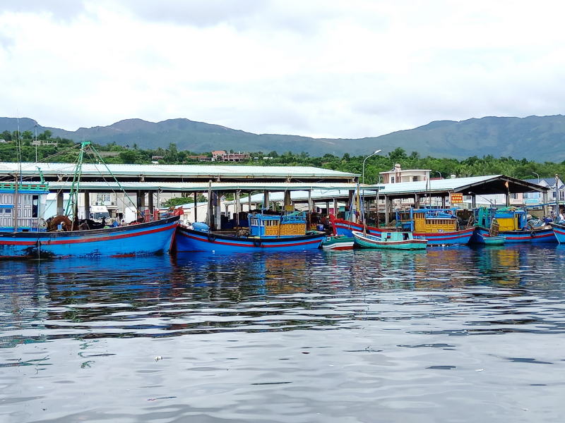 Không khai báo đầy đủ khi vào cảng cá, ba chủ tàu cá bị xử phạt 10,5 triệu đồng -0