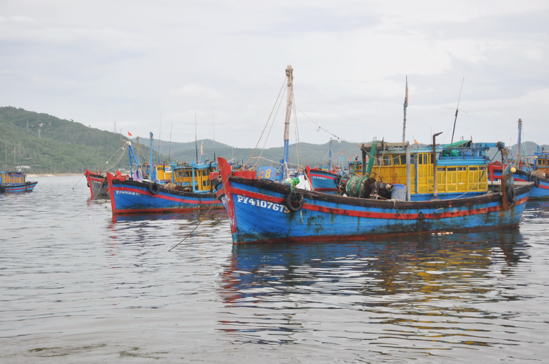 Không khai báo đầy đủ khi vào cảng cá, ba chủ tàu cá bị xử phạt 10,5 triệu đồng -0