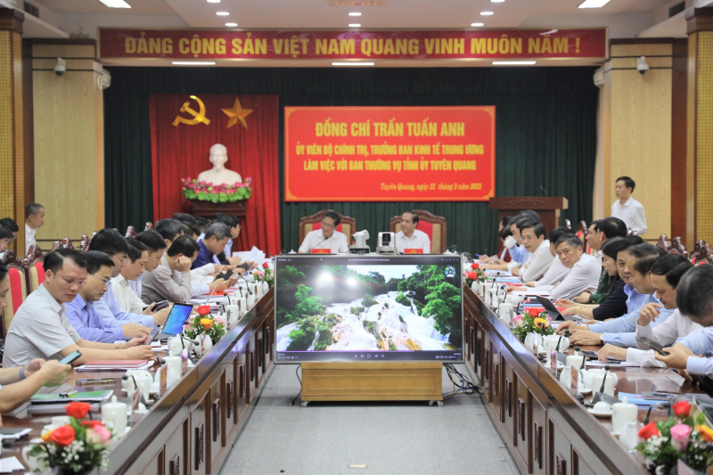 Giải pháp đột phá đưa Tuyên Quang trở thành trung tâm chế biến gỗ -0
