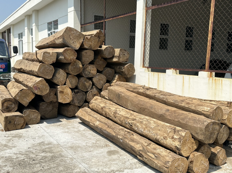 Tạm giữ gần 19m3 gỗ trên xe tải có hóa đơn chứng từ với dấu hiệu bất thường -0