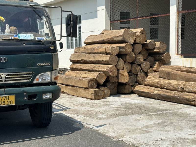 Tạm giữ gần 19m3 gỗ trên xe tải có hóa đơn chứng từ với dấu hiệu bất thường -0