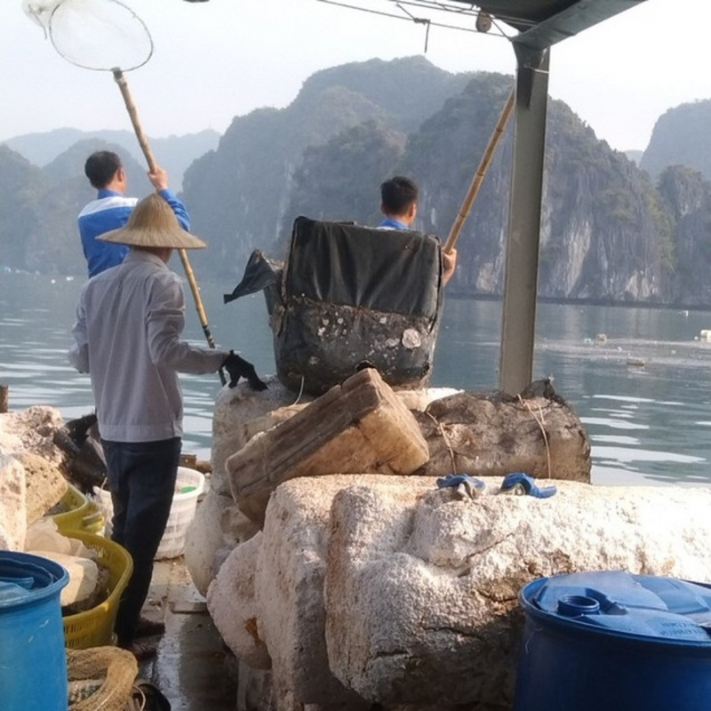 Đồng loạt ra quân dọn sạch rác thải trên các vùng vịnh của Quảng Ninh, Hải Phòng -0