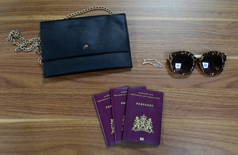 Công an Hải Phòng bắt đối tượng trộm cắp người nước ngoài -0