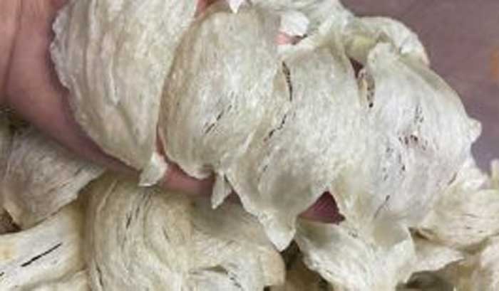 Đề nghị truy tố 2 bị can buôn lậu yến sào từ Indonesia về Việt Nam -0