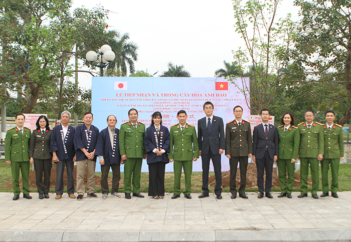 Tiếp nhận 15 cây hoa anh đào do Đại sứ quán Nhật Bản tại Việt Nam trao tặng -0