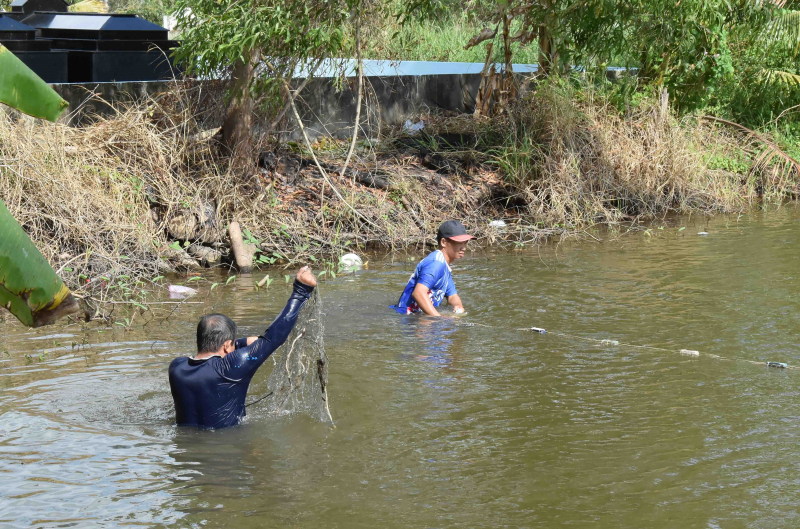 Cảnh báo cá sấu xuất hiện trong ao hồ, kênh rạch ở Bạc Liêu -1