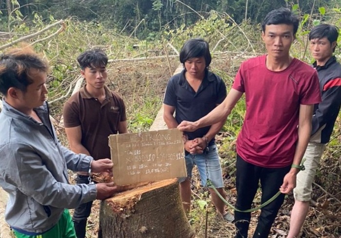 Bắt 6 đối tượng phá gần 1ha rừng tự nhiên -0