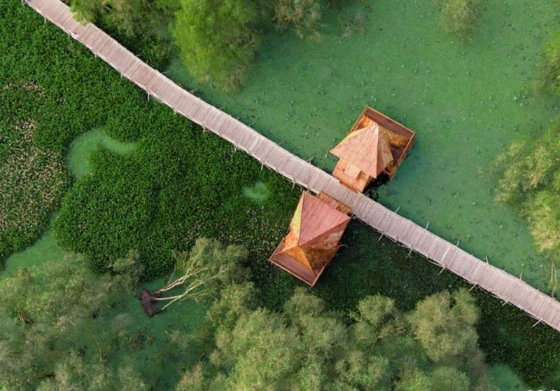 hình 2 thảm bèo nhung xanh ôm trọn rừng tràm.jpg -0