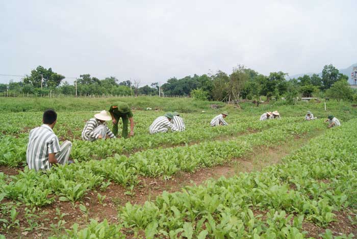 Truy bắt kẻ trốn trại sau 31 năm -0