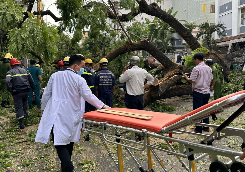 Cây xanh bật gốc trong trường học đè bị thương nhiều phụ huynh -0