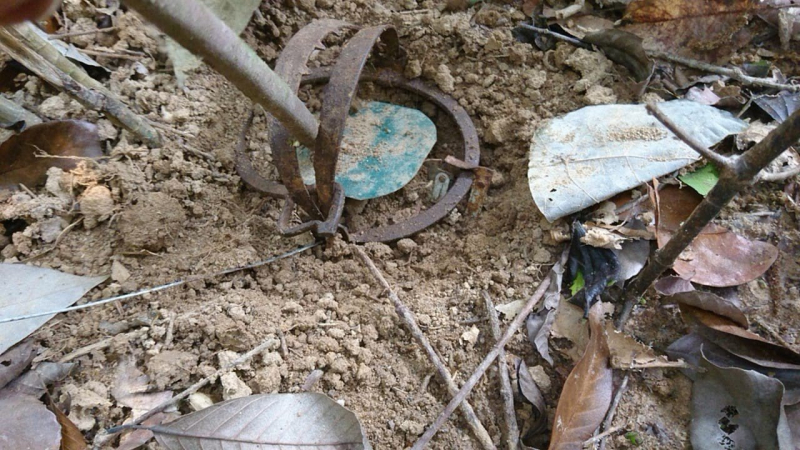 Loạn “bẫy thú” nguy hiểm trong khu bảo tồn Bán đảo Sơn Trà. -2