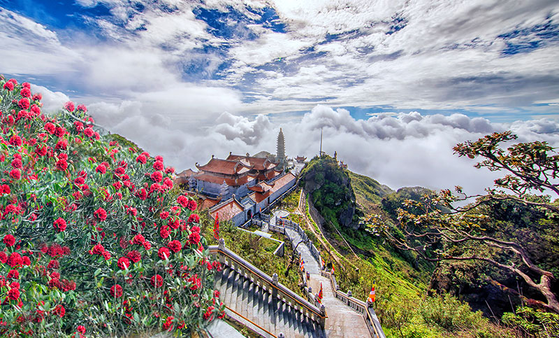 Vé cáp treo Fansipan giảm tới 50%, chần chờ gì mà chưa đi Sa Pa mùa này? -0