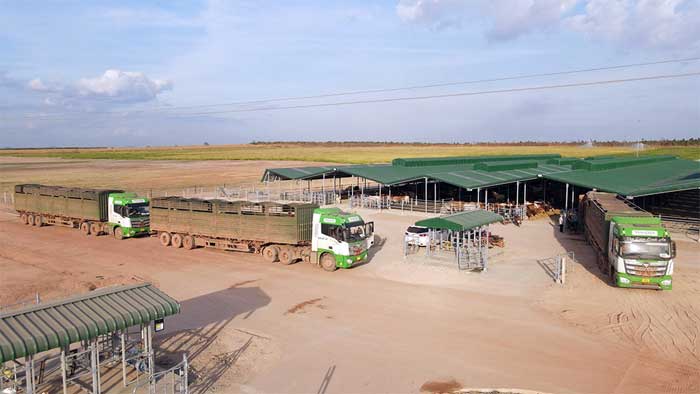 THILOGI mang đến nhiều giải pháp vận tải nội điạ tối ưu cho doanh nghiệp -0