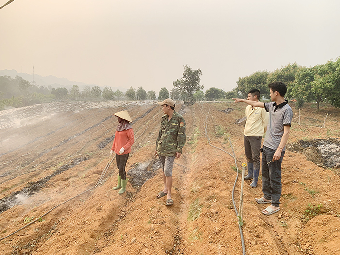 Dâu tây Sơn La hạ giá sập sàn, nông dân rủ nhau phá bỏ -1