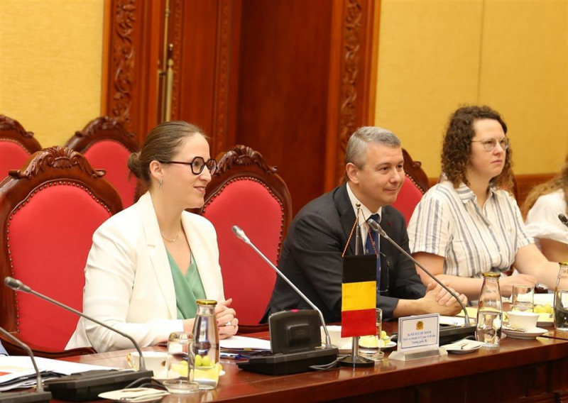 Vietnam, Belgium promote cooperation in preventing and combating illegal migration -0
