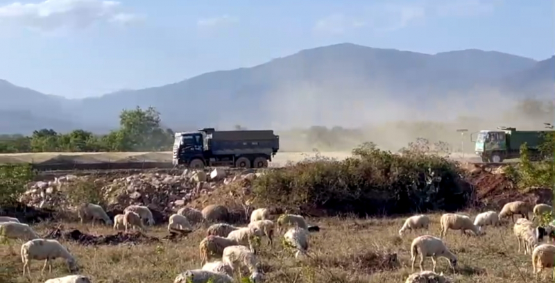 Ninh Thuận kiểm tra xử lý xe quá tải, hết hạn đăng kiểm vận hành tại dự án đường cao tốc -1