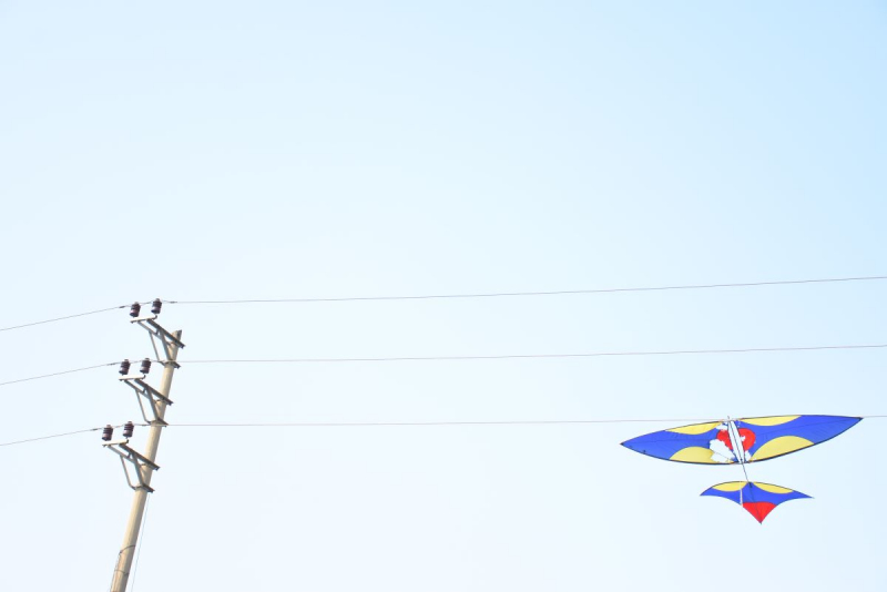 Cần chung tay đảm bảo an toàn hành lang lưới điện -0