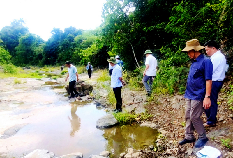 Tạm đình chỉ giải quyết nguồn tin tội phạm liên quan 5 trại chăn nuôi heo ở huyện Tuy An -0