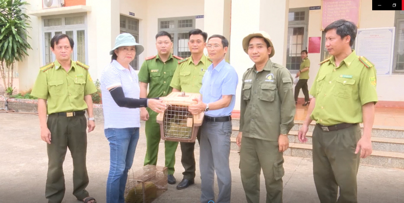 Người dân bàn giao 2 con rái cá quý hiếm cho kiểm lâm -0