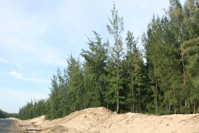 Sau 10 năm vẫn ì ạch việc giao hơn 30.000ha đất rừng cho người dân -0