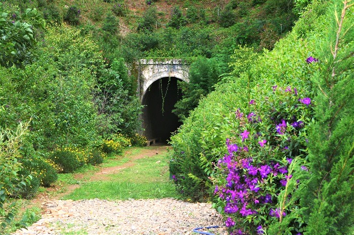 Tập đoàn hàng đầu thế giới muốn trùng tu đường sắt Tháp Chàm – Đà Lạt  -0