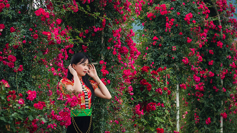 Sun World Fansipan Legend tổ chức Lễ hội hoa hồng dịp 30/4 -0