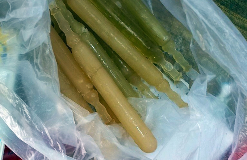 Sau khi ăn kem ống, 16 học sinh nôn mửa -0