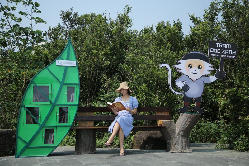 Đà Nẵng đưa