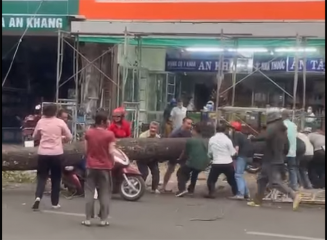 Thấm đẫm tình người trong vụ cô gái bị cây gãy đổ đè đa chấn thương -0