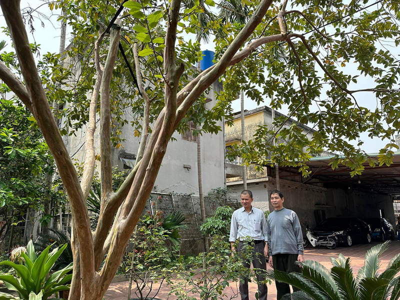 Nghị lực phi thường của người thương binh quê lúa -0