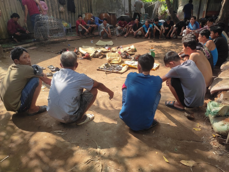 24 nguoi da ga bi bat o binh minh (2).jpg -0