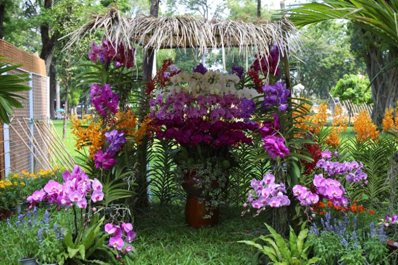 Khai mạc Festival Hoa Lan TP Hồ Chí Minh lần 2 -1