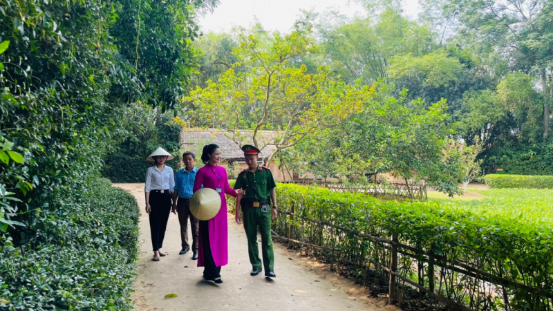 Hiệu quả từ mô hình 