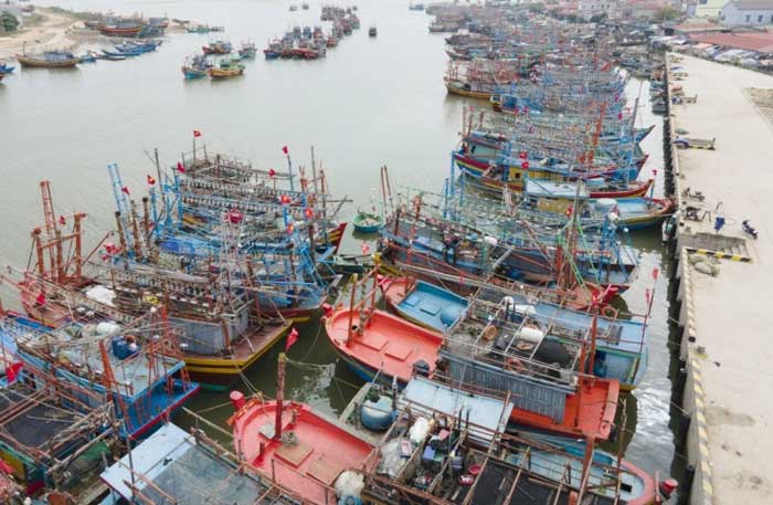 Nhiều giải pháp chống khai thác IUU, gỡ “Thẻ vàng” trong đánh bắt thuỷ sản -0