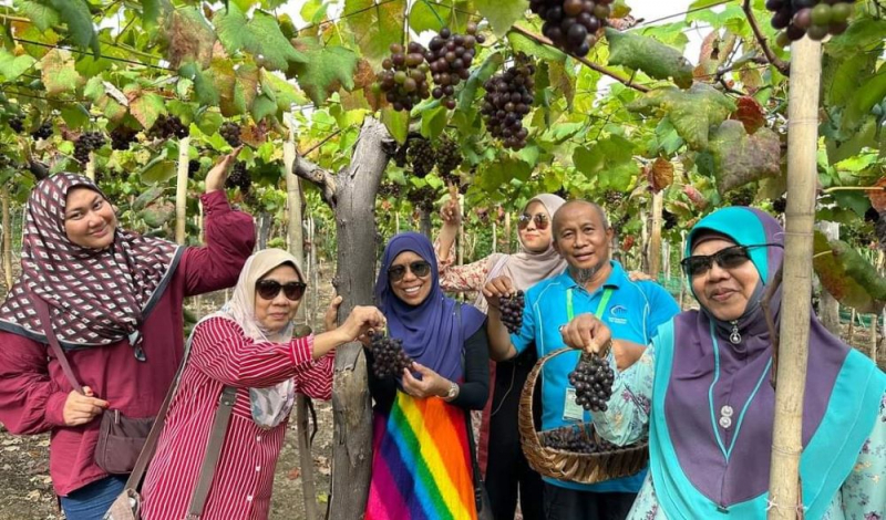 Tổ chức Lễ hội Nho – Vang, hướng đến phát triển kinh tế du lịch ở Ninh Thuận -0