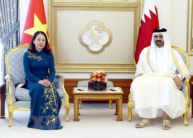 Phó Chủ tịch nước Võ Thị Ánh Xuân hội đàm với Phó Quốc vương Qatar -0