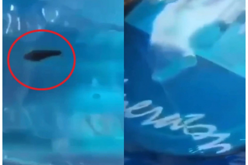 Vụ đỉa trong bình nước uống nguyên tem đề nghị Công an vào cuộc -0