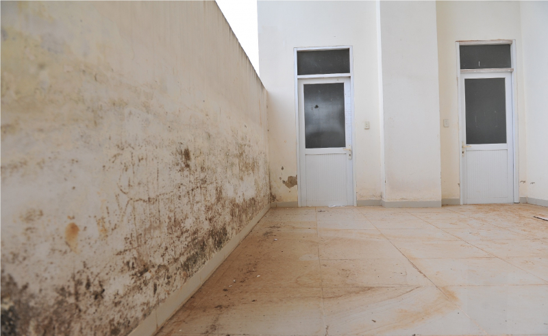 Cận cảnh Trung tâm thanh thiếu niên gần 62 tỷ đồng thành bãi chăn bò -1