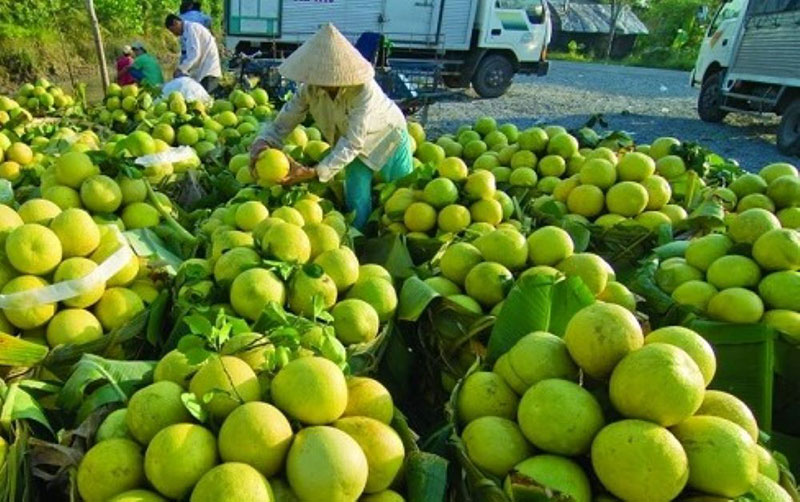 Vietnam to witness bright prospects for fruit, vegetable exports -0