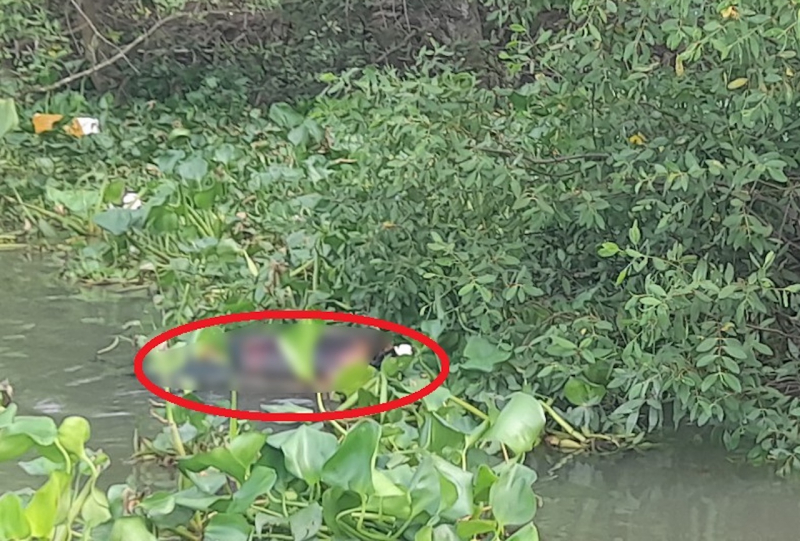 img_20230511_071423.jpg -0