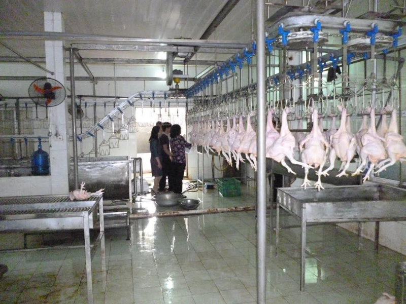 514491821909.jpeg -0