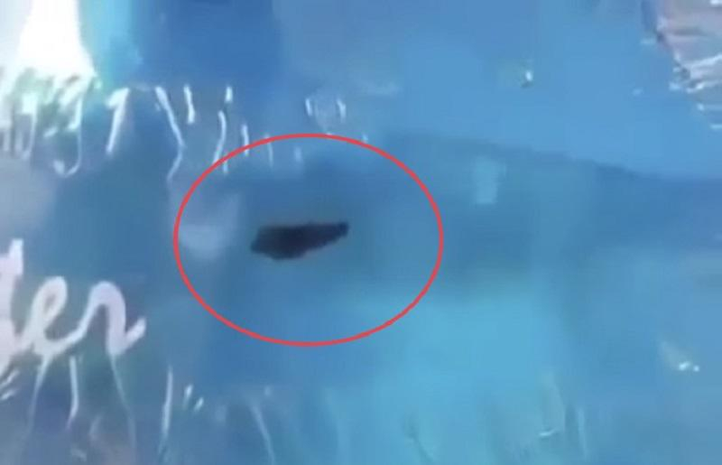 Vụ đỉa trong bình nước khoáng; phạt cơ sở sản xuất 38 triệu đồng vì xoá bỏ chứng cứ -0