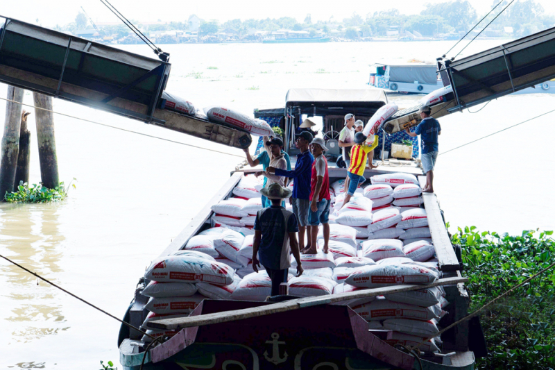 Sự lựa chọn thông minh cho đàn cá khỏe -0