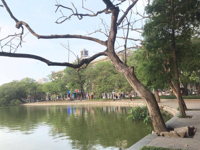 346132421_200613422411248_7784172955678877391_n.jpeg -0