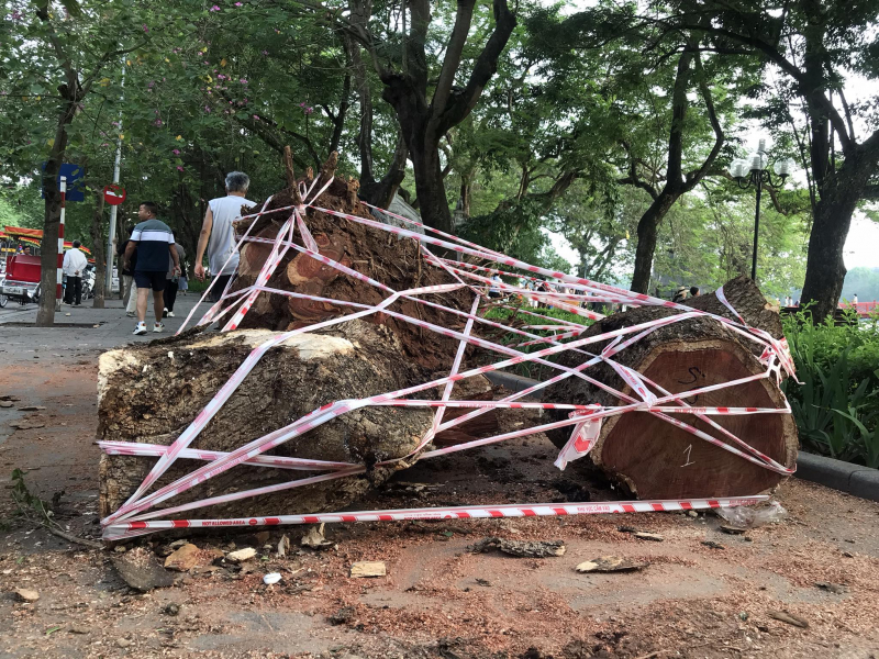 348930738_279411831092698_9183400773290800415_n.jpeg -0