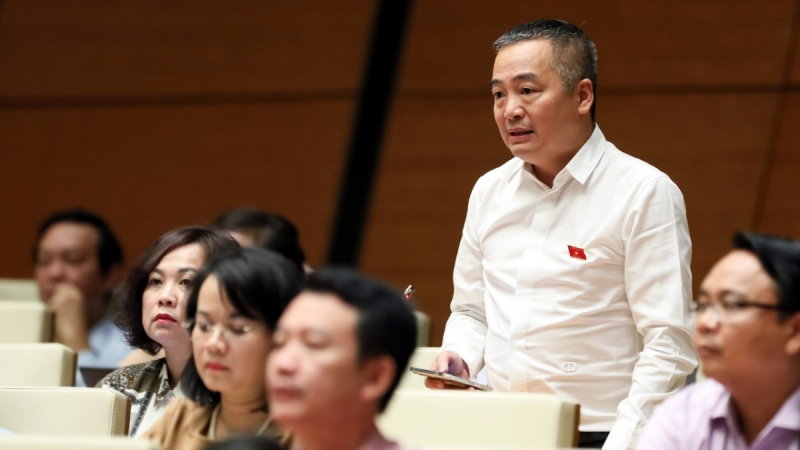 Vietnam should consider announcing the end of COVID-19: NA deputy -0